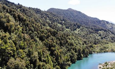 Campo Costa Orilla Río Petrohue