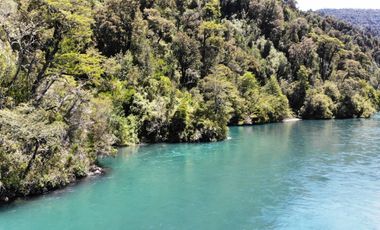 Campo Costa Orilla Río Petrohue