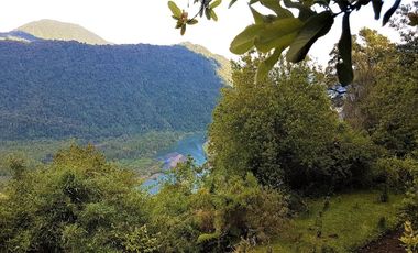 Campo Costa Orilla Río Petrohue