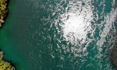 Campo Costa Orilla Río Petrohue