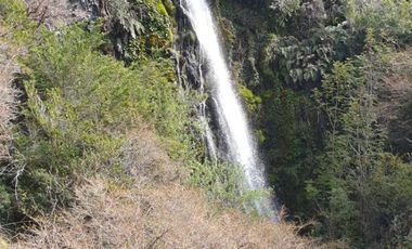 568 hectáreas orilla Río Murta