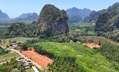 16 Rai of Land with Majestic Mountain Views for Rent in Khao Thong, Krabi