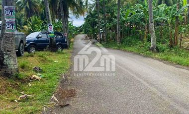 PRE-SELLING FARM/RESIDENTIAL SUBDIVISION LOT ONLY FOR INSTALLMENT(NO INCOME REQUIRED)