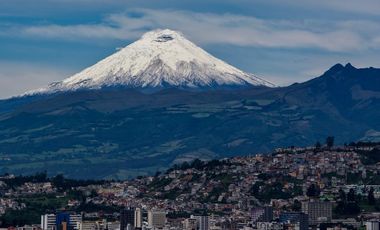 Dpto. 3 Dormit. 304 M2. (Sector El Bosque)