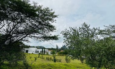 HERMOSOS TERRENOS  PLANOS EN PAMPA VINTIMILLA