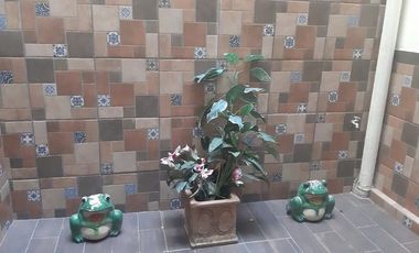 DEPARTAMENTO  AMUEBLADO EN RENTA EN PLANTA BAJA BOCA DEL RIO, VERACRUZ