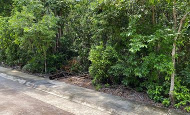 EXCEPCIONAL OFERTA  Terreno 208 m2 Aldea Ha Puerto Morelos