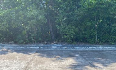 EXCEPCIONAL OFERTA  Terreno 208 m2 Aldea Ha Puerto Morelos