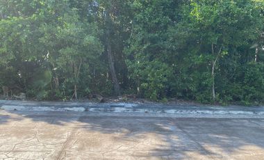 EXCEPCIONAL OFERTA  Terreno 208 m2 Aldea Ha Puerto Morelos