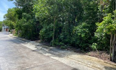 EXCEPCIONAL OFERTA  Terreno 208 m2 Aldea Ha Puerto Morelos