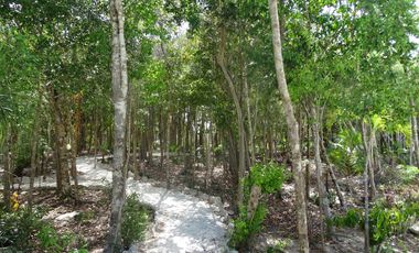 EXCEPCIONAL OFERTA  Terreno 208 m2 Aldea Ha Puerto Morelos