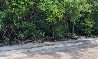 EXCEPCIONAL OFERTA  Terreno 208 m2 Aldea Ha Puerto Morelos