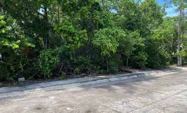 EXCEPCIONAL OFERTA  Terreno 208 m2 Aldea Ha Puerto Morelos