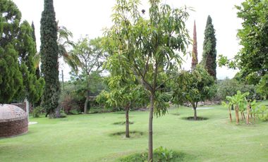 INCREÍBLE TERRENO EN VENTA EN SAN JUAN COSALÁ