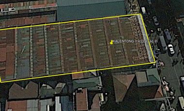 NEW PANAEROS EXTENTION SANTA ANA (KALENTONG), MANILA COMMERCIAL LOT @ 983 SQ.M