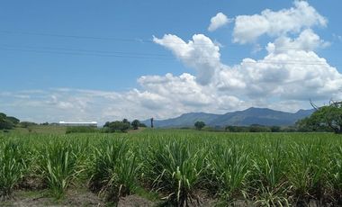 HACIENDA AGROGANADERA