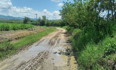 HACIENDA AGROGANADERA