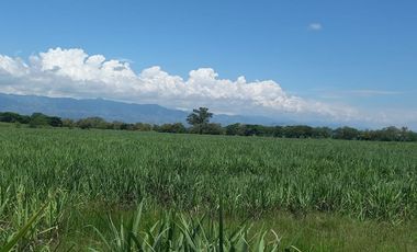 HACIENDA AGROGANADERA
