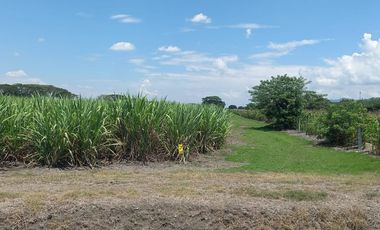 HACIENDA AGROGANADERA