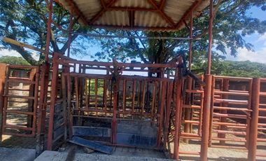 HACIENDA AGROGANADERA