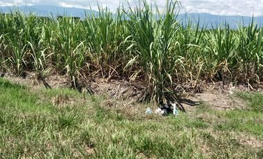 HACIENDA AGROGANADERA