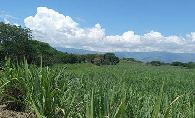 HACIENDA AGROGANADERA