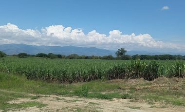 HACIENDA AGROGANADERA