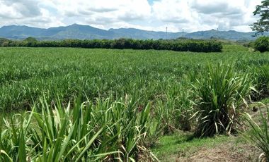 HACIENDA AGROGANADERA