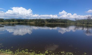 HACIENDA AGROGANADERA