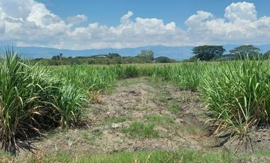 HACIENDA AGROGANADERA