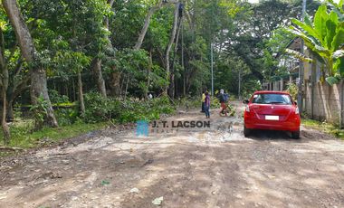 Lot for Sale in Tubtubon Sibulan, Negros Oriental