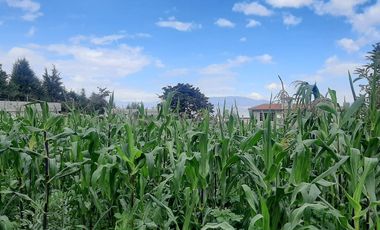 CHECA, vendo terreno 1.500m, con casa y local comercial, servicios básicos