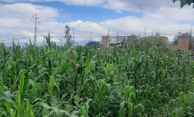 CHECA, vendo terreno 1.500m, con casa y local comercial, servicios básicos