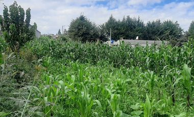 CHECA, vendo terreno 1.500m, con casa y local comercial, servicios básicos