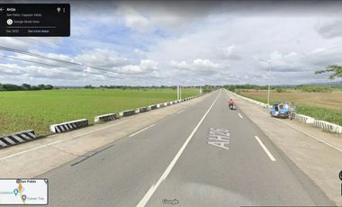 Commercial/Residential/Industrial Lot For Sale in San Pablo Isabela.