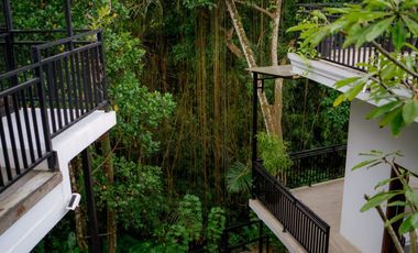 For Sale Freehold Villa at Ubud in Quiet Area and Jungle View