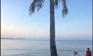 Paradise Found! Beach House with Breathtaking Sunset View for Sale in Siargao | 4BR | Expansive Property | Embrace the Island Life | Unleash Your Reno