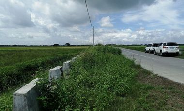 27 Hectares Lot for Sale at Apalit Bypass Road, Apalit, Pampanga