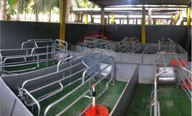 granja porcina de venta en portoviejo zona sosote