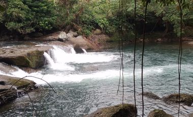 Vendo Finca  de 80 ha en Puerto Quito, La Abundancia .