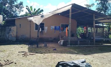 Vendo Finca  de 80 ha en Puerto Quito, La Abundancia .