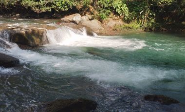 Vendo Finca  de 80 ha en Puerto Quito, La Abundancia .
