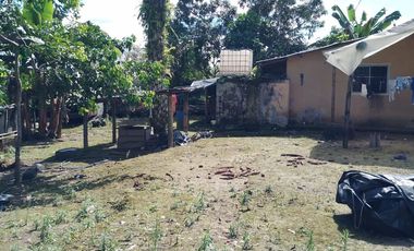 Vendo Finca  de 80 ha en Puerto Quito, La Abundancia .