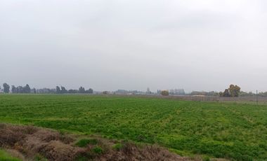 Parcelas de 5000 m2 en ruta H-10 Codegua