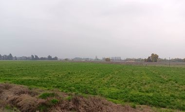 Parcelas de 5000 m2 en ruta H-10 Codegua
