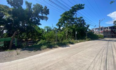 COMMERCIAL LOT FOR SALE AT DANAO, PANGLAO, BOHOL