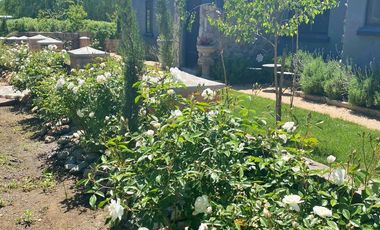 Se vende atractiva y amplia granja de arándanos orgánicos