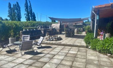 Se vende atractiva y amplia granja de arándanos orgánicos