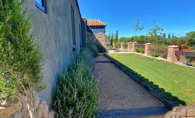 Se vende atractiva y amplia granja de arándanos orgánicos