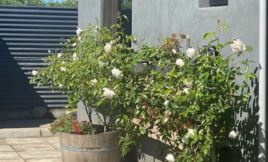 Se vende atractiva y amplia granja de arándanos orgánicos